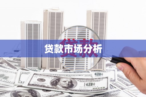 镇巴贷款市场分析