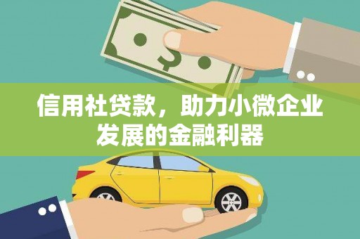 镇巴信用社贷款，助力小微企业发展的金融利器