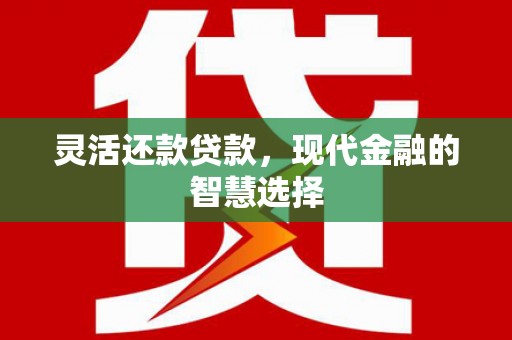 镇巴灵活还款贷款，现代金融的智慧选择