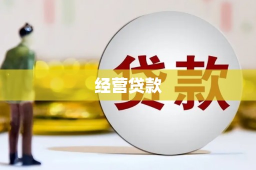 镇巴经营贷款