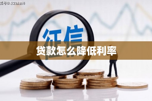 镇巴贷款怎么降低利率