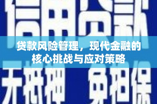 镇巴贷款风险管理，现代金融的核心挑战与应对策略