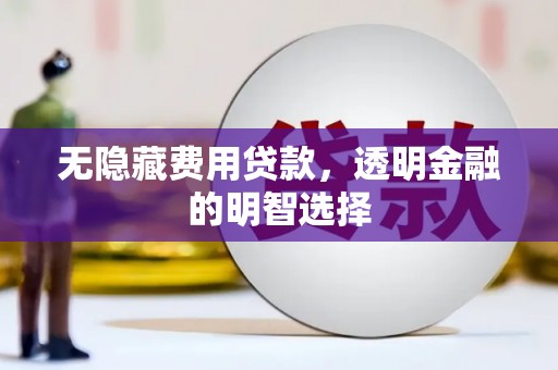 镇巴无隐藏费用贷款，透明金融的明智选择