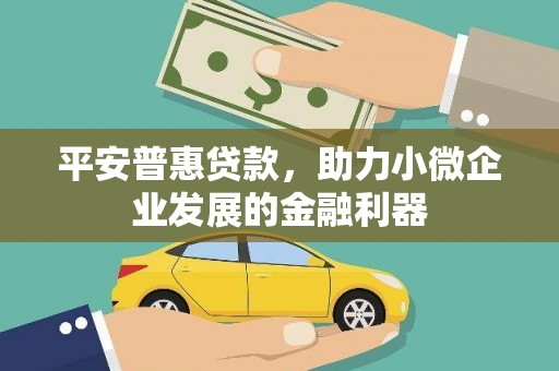 镇巴平安普惠贷款，助力小微企业发展的金融利器