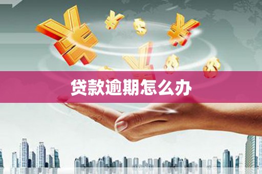 镇巴贷款逾期怎么办
