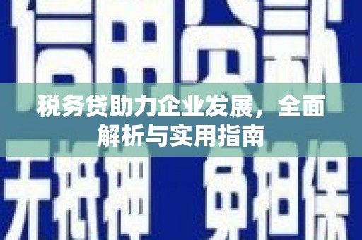 镇巴税务贷助力企业发展，全面解析与实用指南
