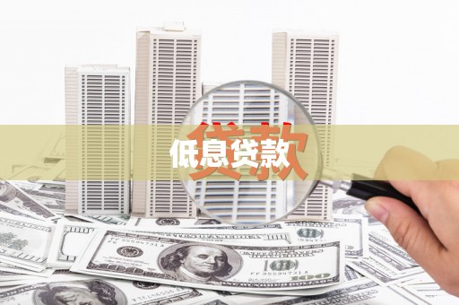 镇巴低息贷款