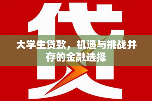 镇巴大学生贷款，机遇与挑战并存的金融选择