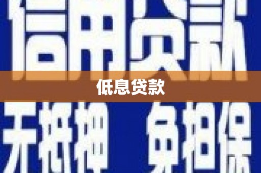 镇巴低息贷款