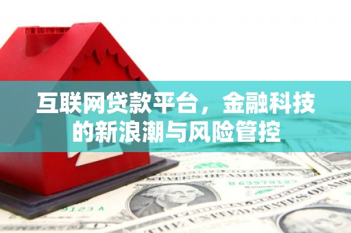 镇巴互联网贷款平台，金融科技的新浪潮与风险管控