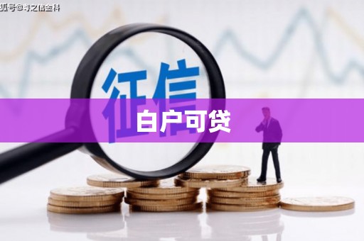镇巴白户可贷