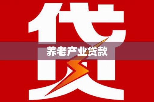 镇巴养老产业贷款