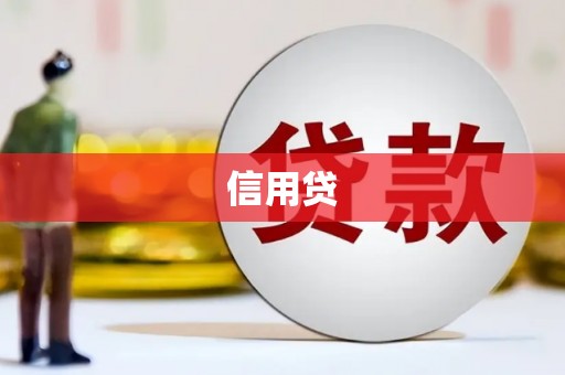 镇巴信用贷