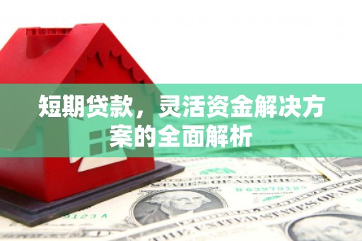 镇巴短期贷款，灵活资金解决方案的全面解析