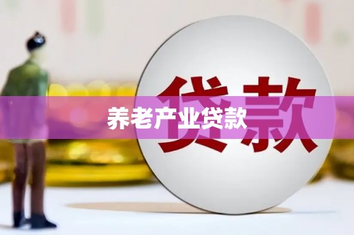 镇巴养老产业贷款