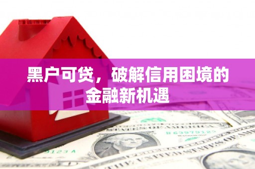 镇巴黑户可贷，破解信用困境的金融新机遇