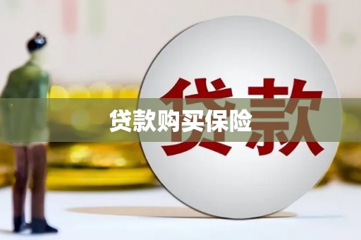 镇巴贷款购买保险