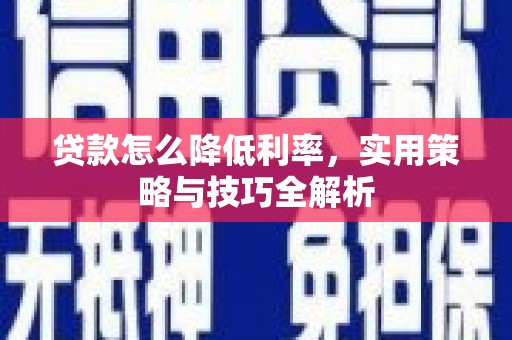 镇巴贷款怎么降低利率，实用策略与技巧全解析