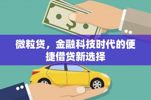 镇巴微粒贷，金融科技时代的便捷借贷新选择