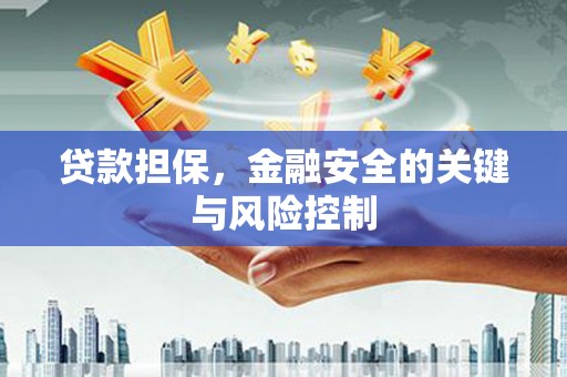镇巴贷款担保，金融安全的关键与风险控制