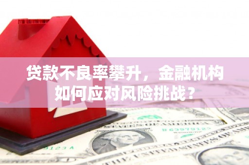 镇巴贷款不良率攀升，金融机构如何应对风险挑战？
