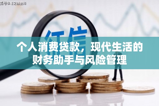 镇巴个人消费贷款，现代生活的财务助手与风险管理