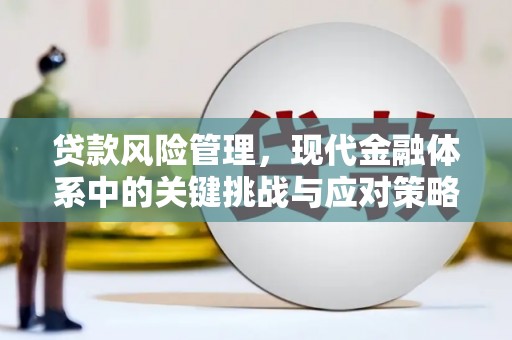 镇巴贷款风险管理，现代金融体系中的关键挑战与应对策略