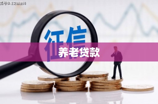 镇巴养老贷款