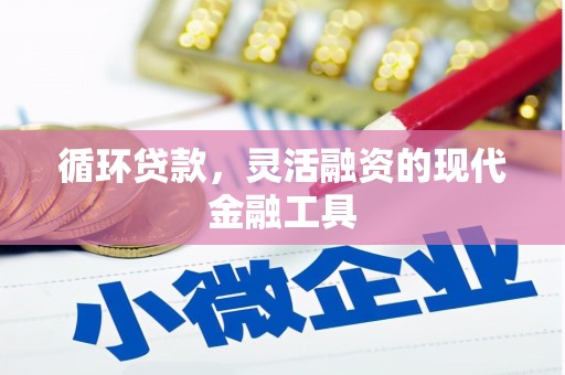 镇巴循环贷款，灵活融资的现代金融工具