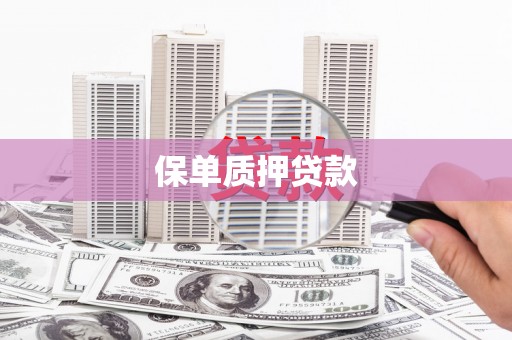 镇巴保单质押贷款
