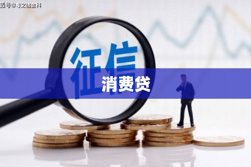 镇巴消费贷