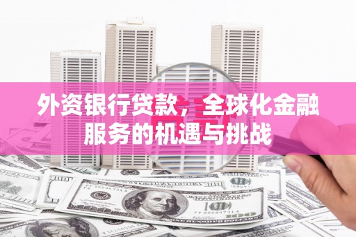 镇巴外资银行贷款，全球化金融服务的机遇与挑战