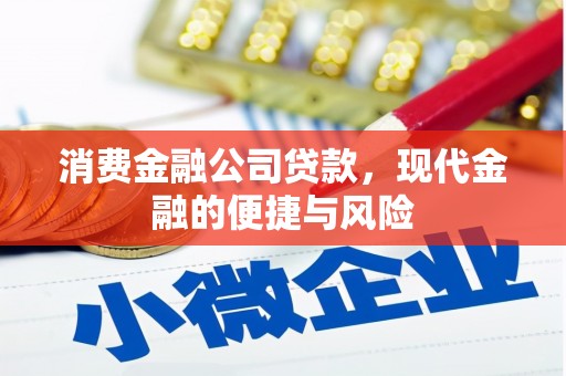 镇巴消费金融公司贷款，现代金融的便捷与风险