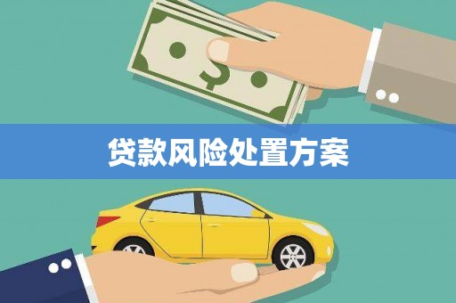 镇巴贷款风险处置方案