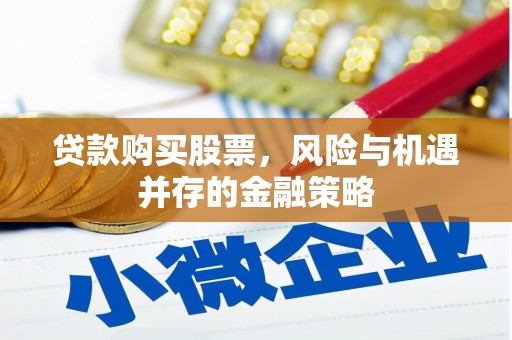 镇巴贷款购买股票，风险与机遇并存的金融策略
