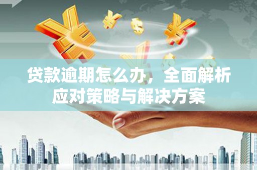 镇巴贷款逾期怎么办，全面解析应对策略与解决方案