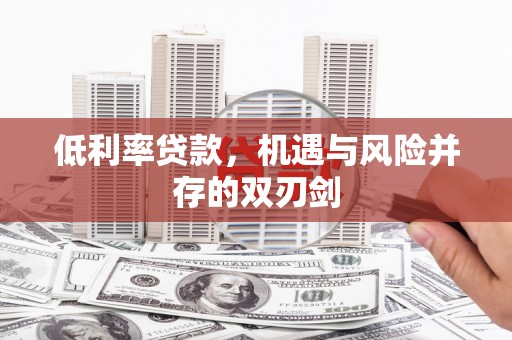 镇巴低利率贷款，机遇与风险并存的双刃剑