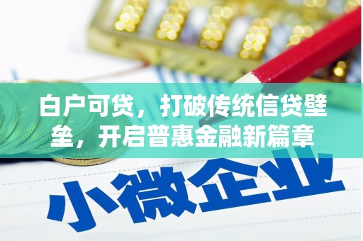 镇巴白户可贷，打破传统信贷壁垒，开启普惠金融新篇章