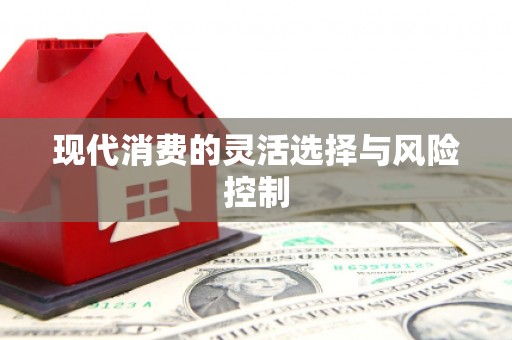 镇巴现代消费的灵活选择与风险控制