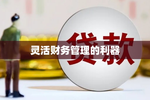 镇巴灵活财务管理的利器