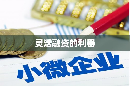 镇巴灵活融资的利器