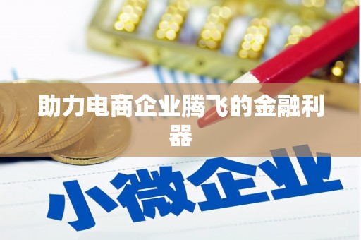镇巴助力电商企业腾飞的金融利器