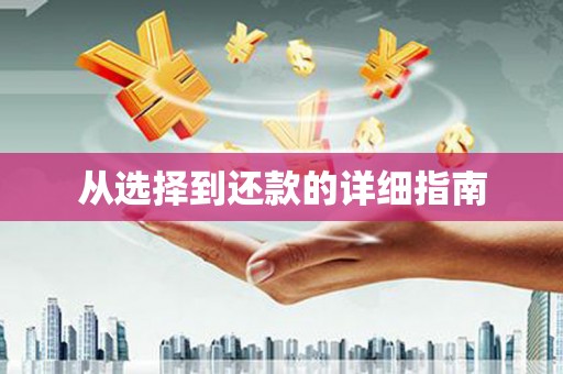 镇巴从选择到还款的详细指南