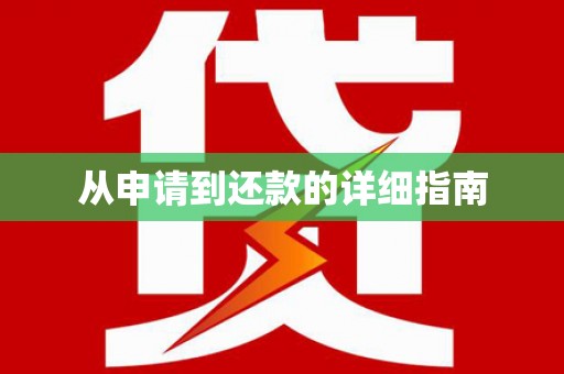 镇巴从申请到还款的详细指南