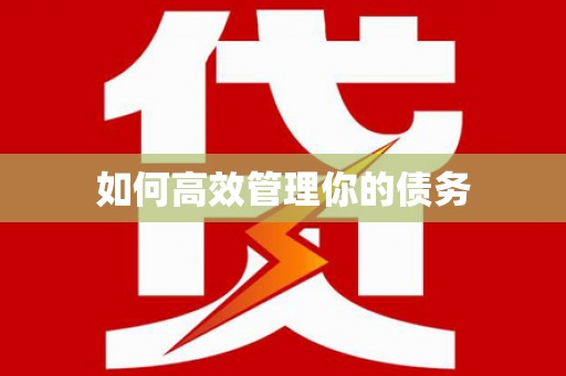 镇巴如何高效管理你的债务