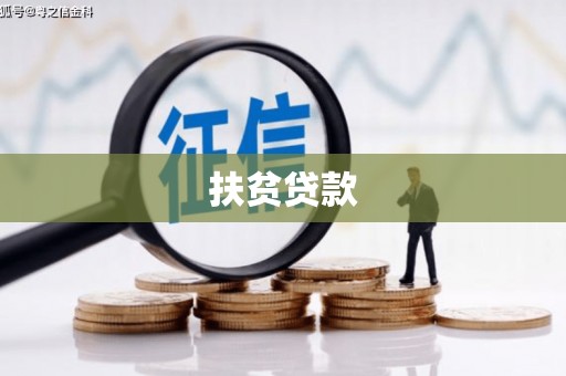 镇巴扶贫贷款