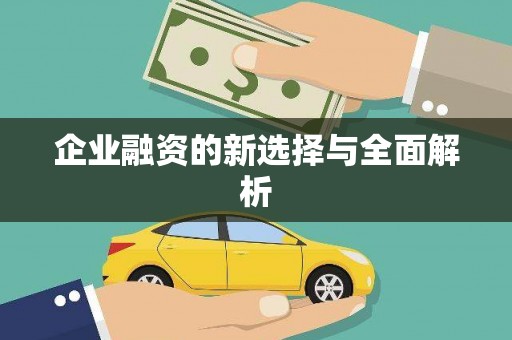 镇巴企业融资的新选择与全面解析
