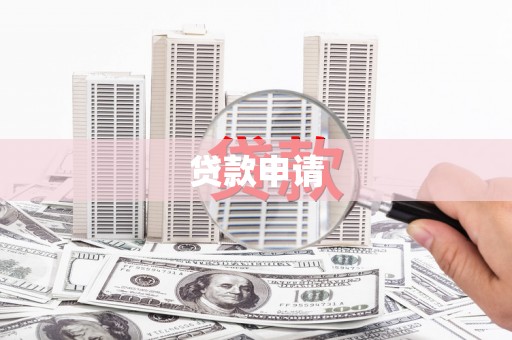 镇巴贷款申请