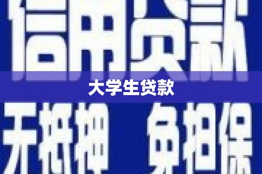 镇巴大学生贷款