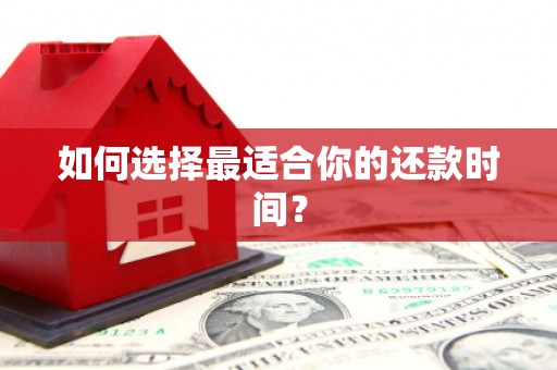 镇巴如何选择最适合你的还款时间？